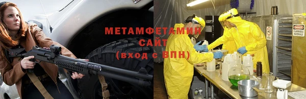 прущие грибы Лиски