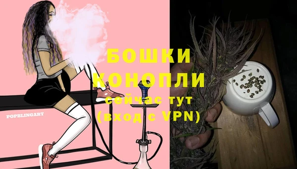 прущие грибы Лиски