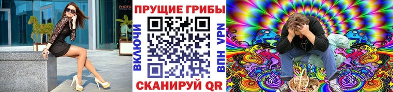 Купить где Курган Галлюциногенные грибы прущие грибы